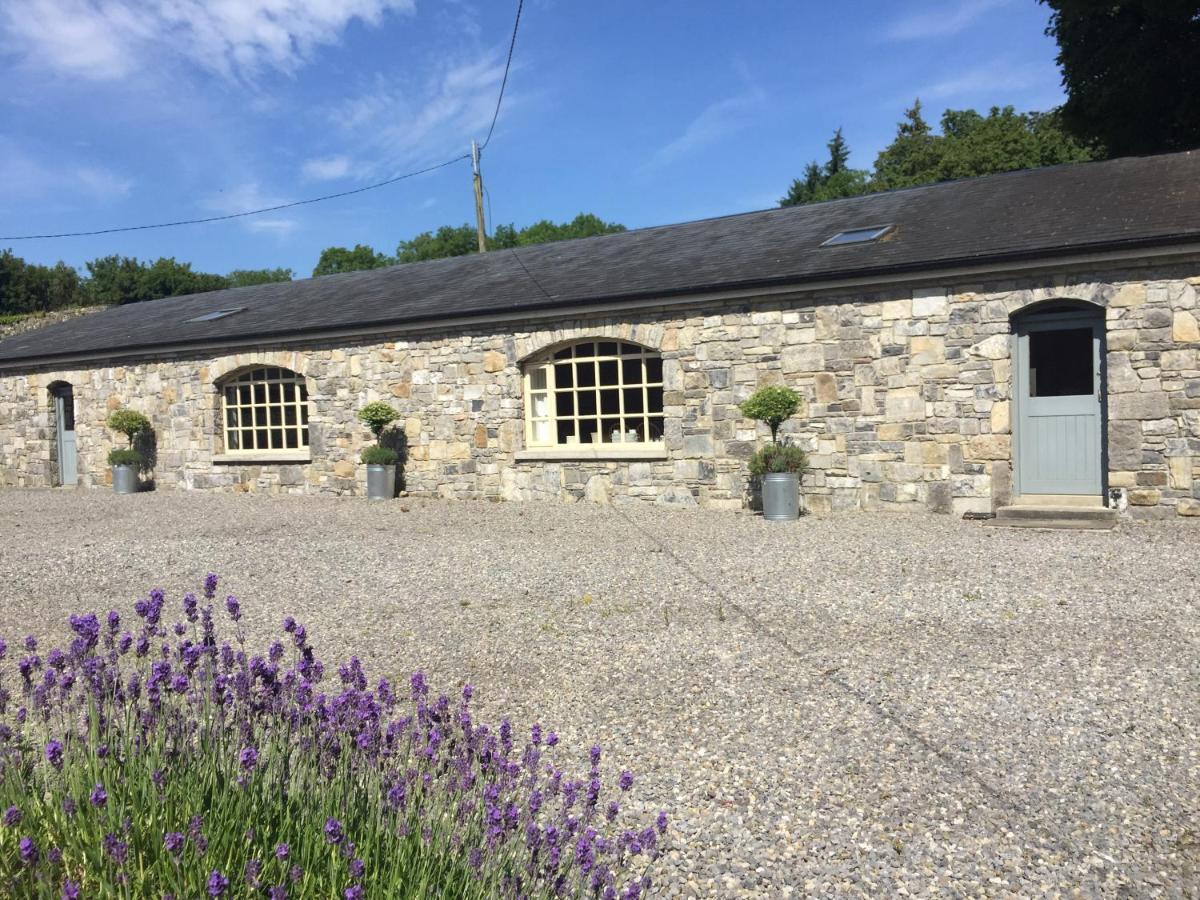 Castlerea Clonalis House - Guesthouse מראה חיצוני תמונה